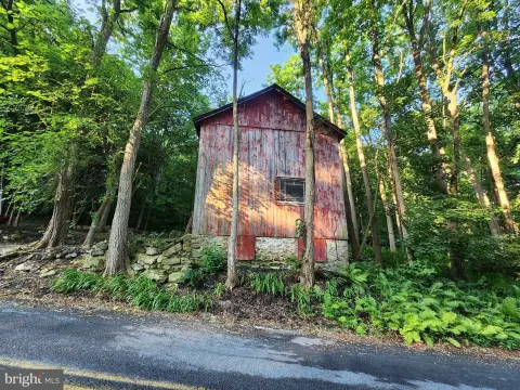Mostly Wooded Hunting Land Parcel