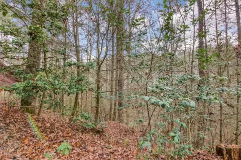 Ellijay, GA Vacant Lot