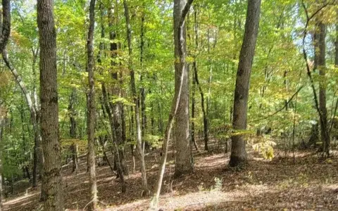 Hayesville Vacant Lot with Well
