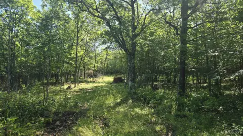 Wooded Land Parcel For Sale