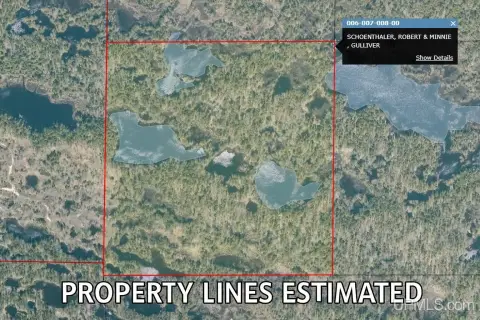 Untouched Acreage Near Lake Michigan