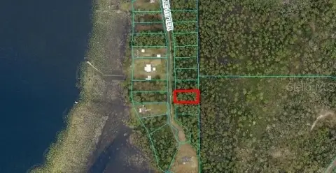 Residential Lot Near Ocala Forest
