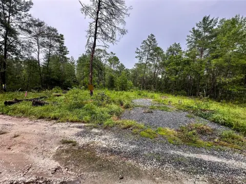 Residential Lot Near Ocala Forest