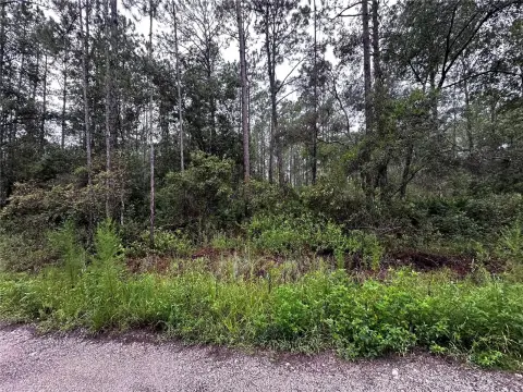 Residential Land in Citra, Florida