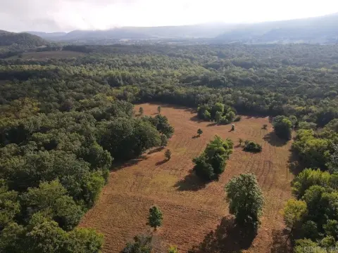 Ozark Mountain Wilderness Hunting Land