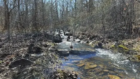 20 Acre Land Near Thida