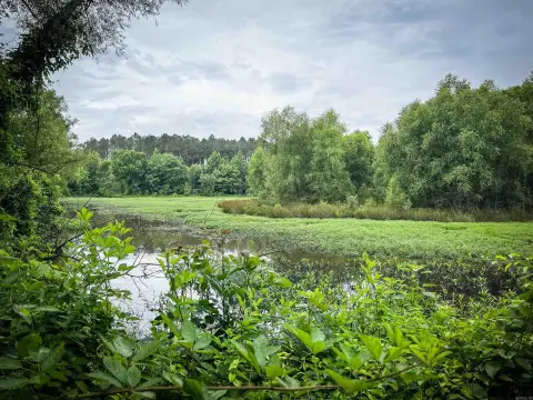 Recreational Hunting Land with Creek