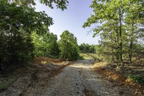 Wooded Recreational Land with Clearing
