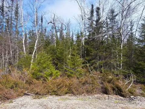 Presque Isle Wooded Double Lot