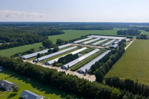 Poultry Farm with Eleven Houses