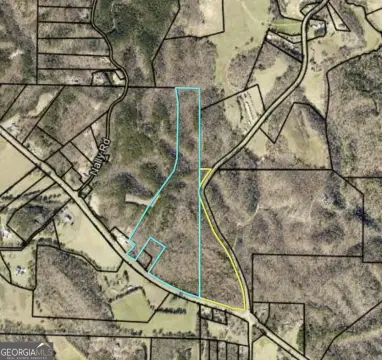 Wooded Land Tract