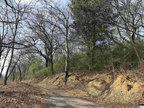 Birmingham Land Opportunity