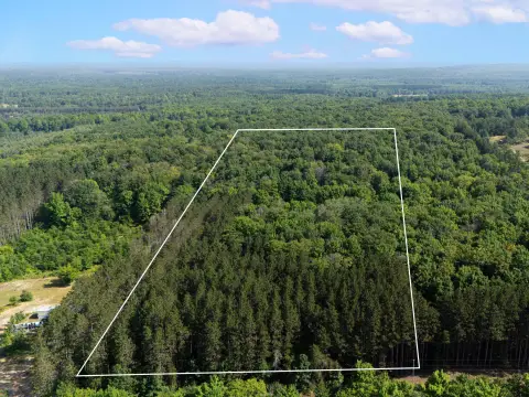 Manton, MI Wooded Land Parcel