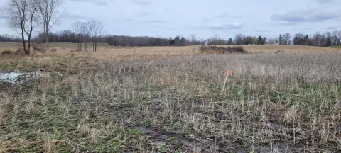 Land in Lake Odessa, MI