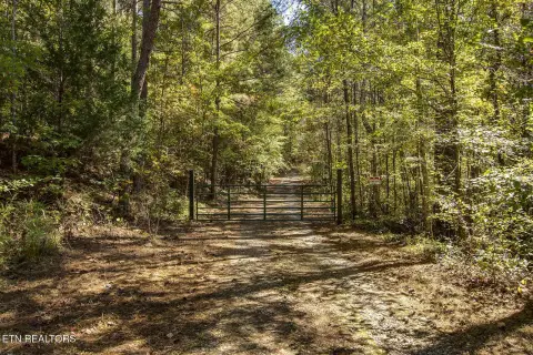 Unrestricted Farmland with Creek