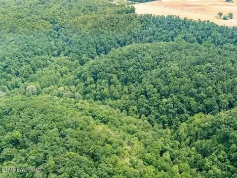 Turnkey Recreational Acreage with RV Pad