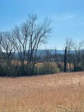Agricultural Land with Pasture