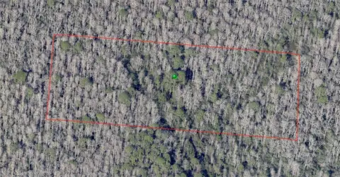 De Leon Springs 5-Acre Lot