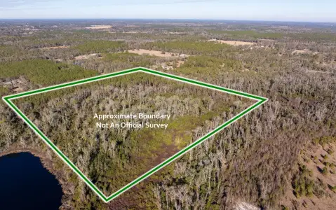 40 Acres in Suwannee County