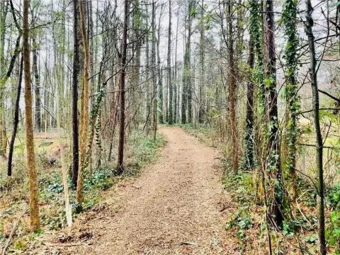 Residential Land in Austell, Georgia