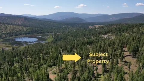 Forested Land Near Ashley Lake