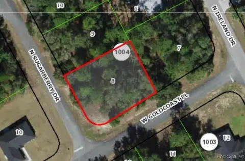 Citrus Springs Buildable Corner Lot