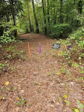 28 Acres of Hunting Land