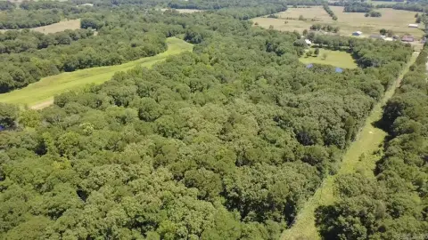 Wooded Recreational Land Tract