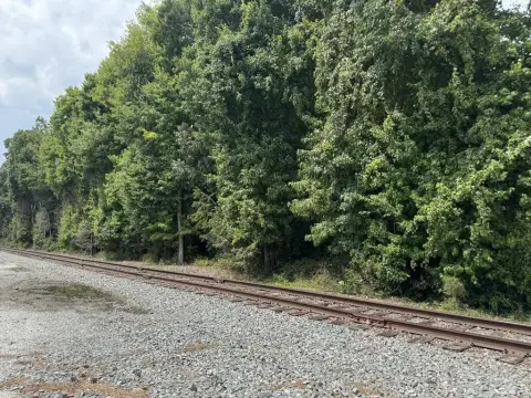 Wooded Rail-Adjacent Industrial Land