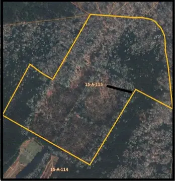 Forested Hunting Land
