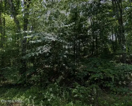 Lake Tansi Lot Opportunity