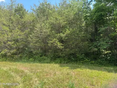 Recreational Hunting Land Acreage