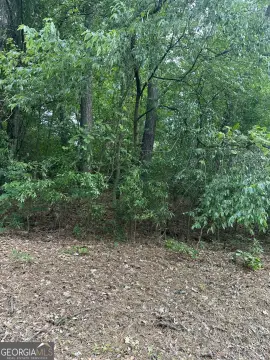 Royston, GA Wooded Land