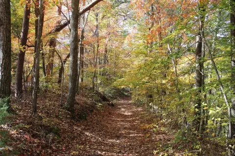 Land Near Lake Cumberland