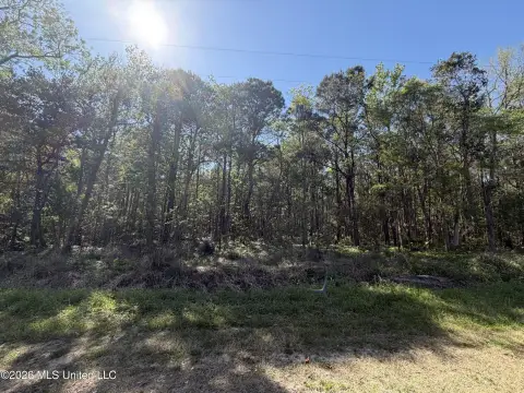 Wooded Lot in Ocean Springs