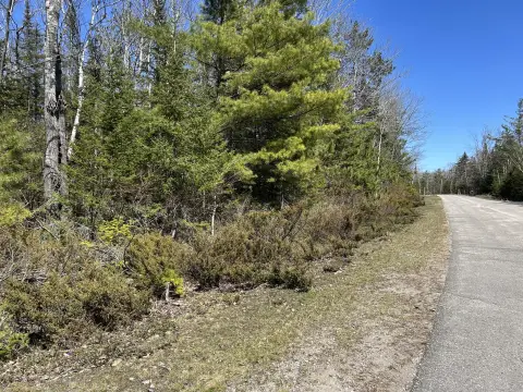 Wooded Lots in Presque Isle