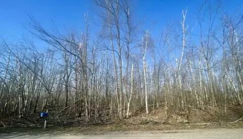 Residential Land in Gaylord, MI