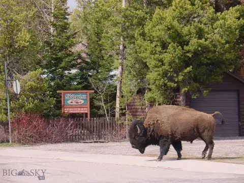 Yellowstone Wildlife Cabins Investment Opportunity