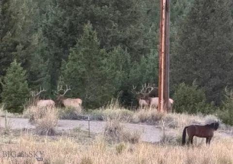 Hunting Land with Horse Barn