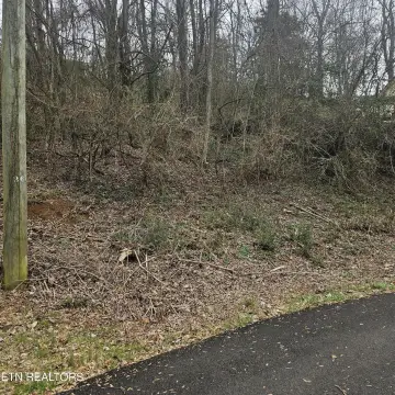 Residential Land in Seymour, TN