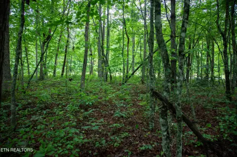 Recreation Land Homesite Opportunity