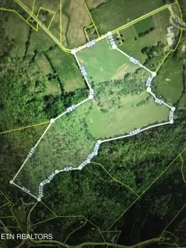Unrestricted Wooded Farmland Tract
