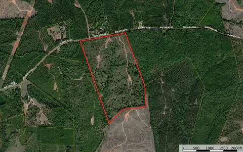 Timber Investment & Recreation Land