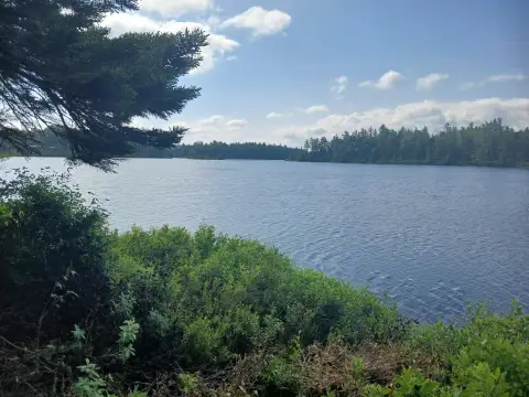 Pond-Front Hunting & Recreation Land