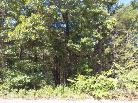 Waterfront Land with Lake Frontage