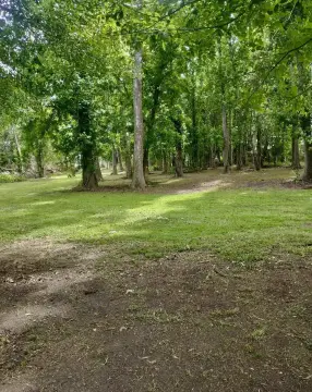 Unrestricted Bayou Land with Water Access