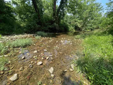 Surveyed Recreation Land with Creek