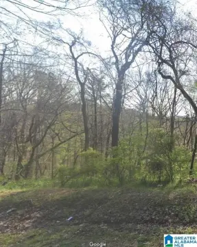 Residential Land in Pinson, Alabama