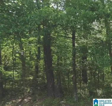 Residential Land in Pinson, Alabama