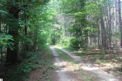 Wooded Torch Lake Waterfront Land